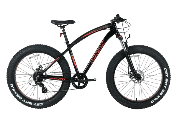26 JANT BİSAN SAVAGE FT1 – ALTUS MEKANİK DİSK FREN BİSİKLET 4.0 LASTİK